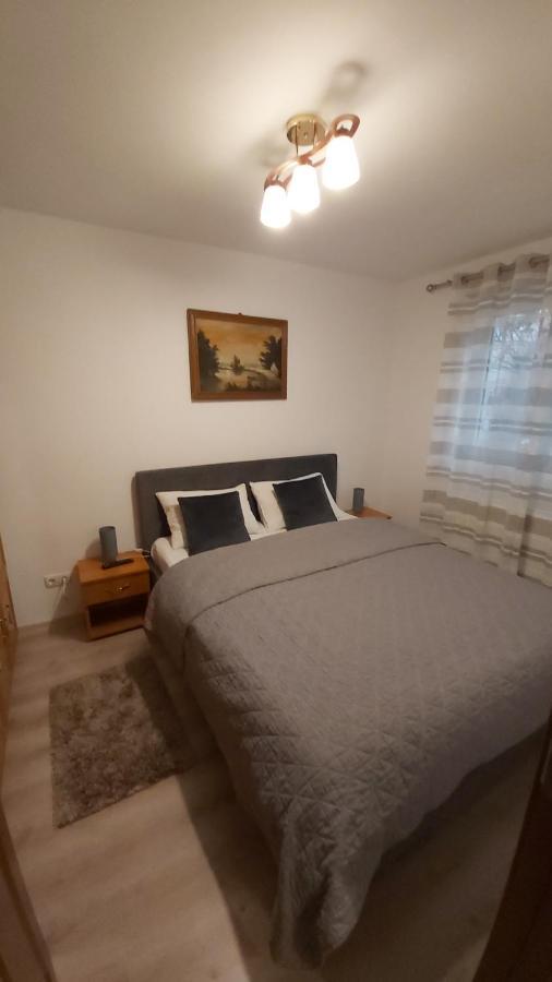 Apartament Relax Apartament Satu Mare Zewnętrze zdjęcie