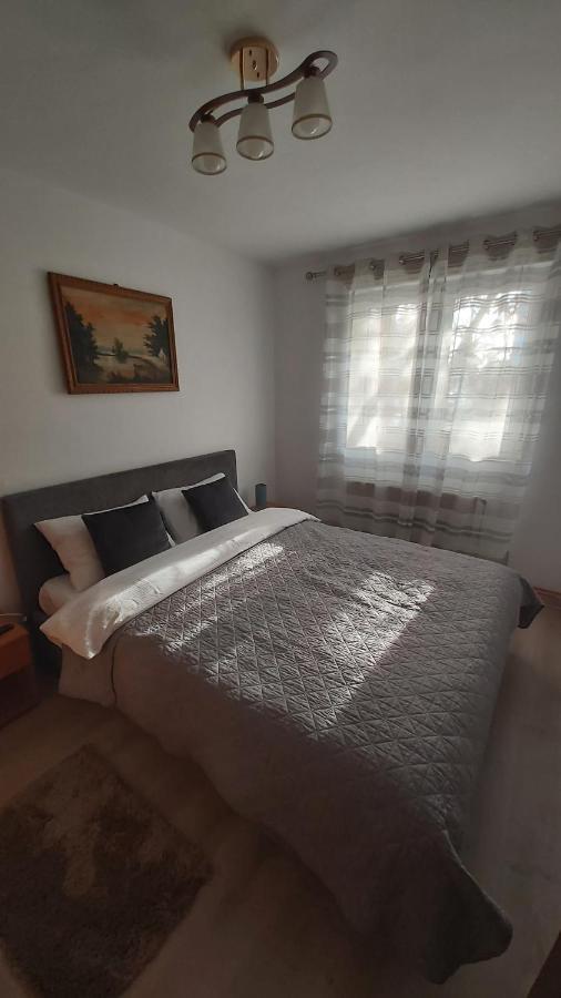 Apartament Relax Apartament Satu Mare Zewnętrze zdjęcie