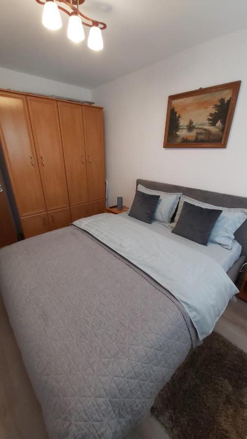 Apartament Relax Apartament Satu Mare Zewnętrze zdjęcie