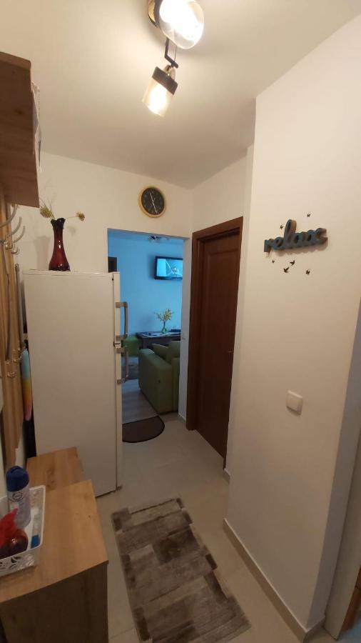 Apartament Relax Apartament Satu Mare Zewnętrze zdjęcie